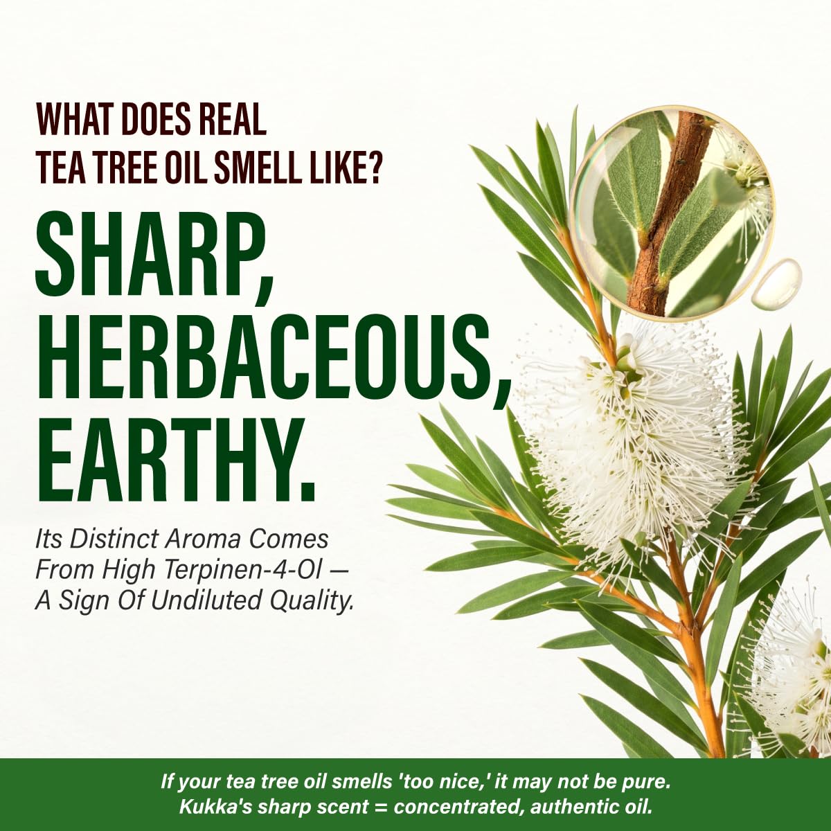 Tea Tree Essential Oil with Aromatherapy Stone - Image 4